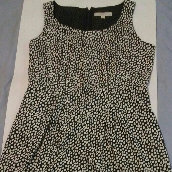 Ann Taylor Dresses & Skirts - Ann Taylor Loft Black and White Dress Size 12